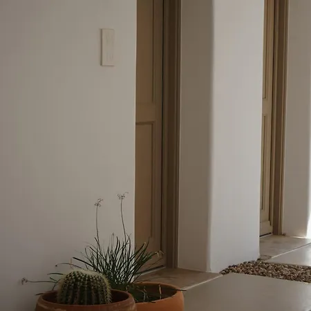 Camarades Mykonos Ano Mera