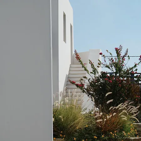 Camarades Mykonos *