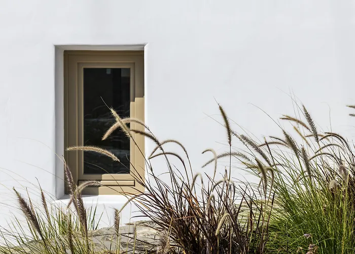 Camarades Mykonos Ano Mera